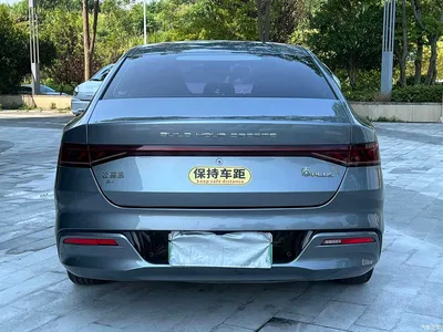 2021 BYD Qin PLUS EV 500KM Luxury Model, фото 4, лот 10394769