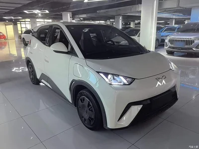 2023 BYD Seagull Freedom Edition, фото 4, лот 10262795