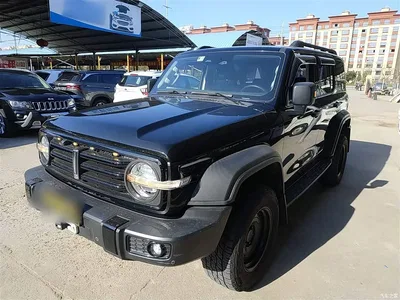 2021 Tank 300 Off-road Version 2.0T Conqueror, фото 1, лот 10345617