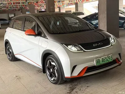 2021 BYD Dolphin Model 405km Fashion Edition, фото 3, лот 10396159