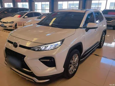 2020 Toyota Wildlander 2.0L CVT 2WD Luxury Edition, фото 1, лот 10384573