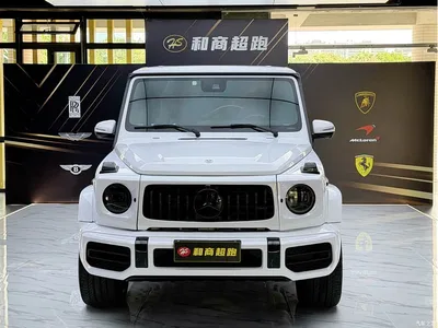 2019 Mercedes-Benz G-Class Facelift G 500, фото 1, лот 10296932