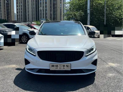 2021 Geely Borui 1.8T Pilot Edition+, фото 2, лот 10817498