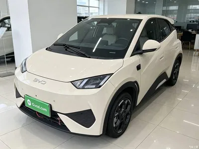 2025 BYD Seagull Smart Drive Edition 305km Freedom Version, фото 2, лот 10262813