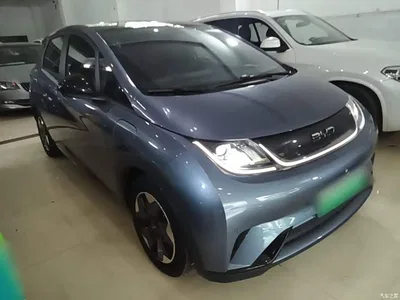 2024 BYD Dolphin Glory Edition 420km Fashion Edition, фото 4, лот 10260867