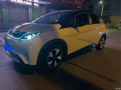 2024 BYD Dolphin Glory Edition 420km Fashion Edition, фото 1, лот 11203788