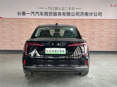 2023 Hongqi E-QM5 Facelift Basic Travel Edition, фото 3, лот 10304317
