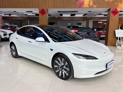 2023 Tesla Model 3 Long Range All-Wheel Drive, фото 3, лот 10354025