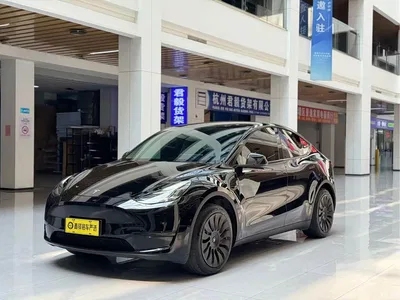 2024 Tesla Model Y Rear-Wheel Drive Version, фото 1, лот 10442857