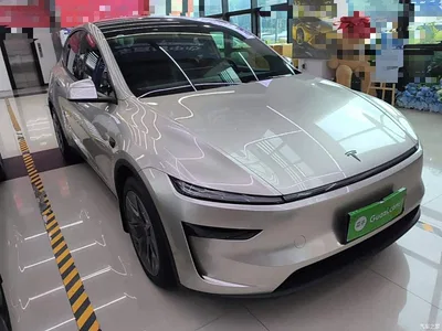 2025 Tesla Model Y L, фото 4, лот 10674293