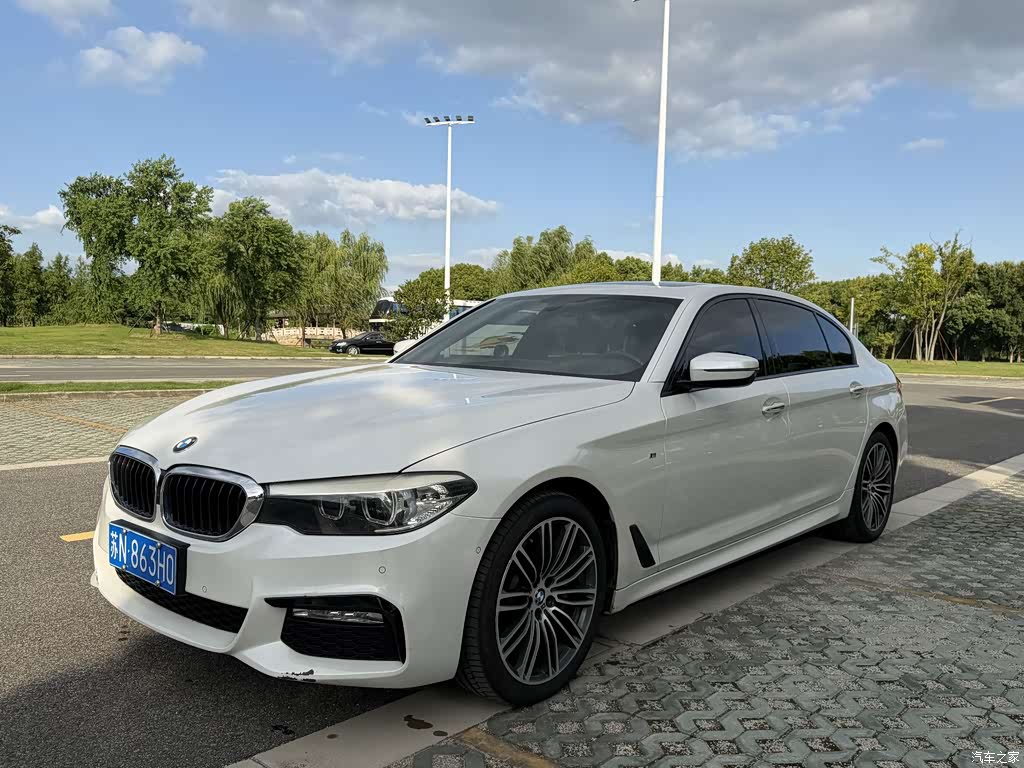 2018 BMW 5 Series 530Li Leading M Sport Package, фото 1, лот 11230816