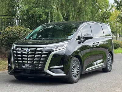 2024 Denza D9 DM-i 1050 Premium, фото 1, лот 10362156