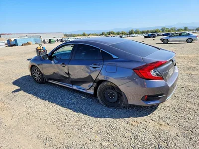 2020 HONDA CIVIC LX, фото 2, лот 11276013