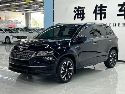 2023 Škoda Karoq TSI280 Smart Edition, фото 1, лот 10348608