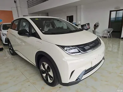 2025 BYD Dolphin 420km Freedom Edition, фото 4, лот 10264142