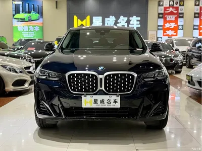 2022 BMW X4 xDrive 25i M Sport Package, фото 3, лот 10238499