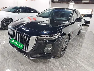 2024 Hongqi H5 2.0T Automatic Smart Connect Flag Smooth Edition, фото 2, лот 10289692