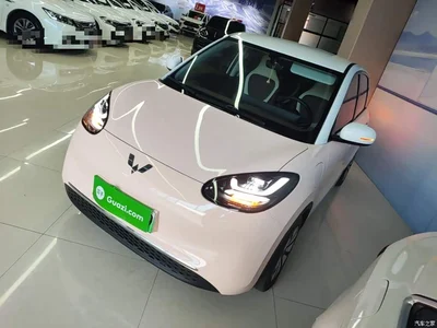 2024 Wuling Motors Wuling Bingo 333km Smart Connect Edition, фото 1, лот 10372125