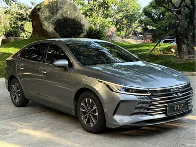 2023 BYD Destroyer 05 Champion Edition DM-i 55KM Luxury, фото 3, лот 10334860