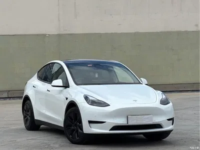 2023 Tesla Model Y Rear-Wheel Drive Edition, фото 3, лот 10392718