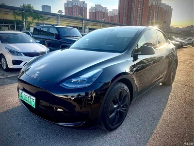 2024 Tesla Model Y Rear-Wheel Drive Version, фото 1, лот 10829151