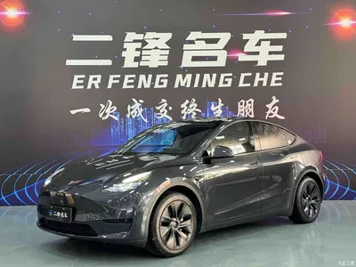 2024 Tesla Model Y Rear-Wheel Drive Version, фото 1, лот 11179100