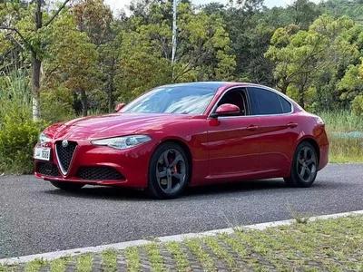 2017 Alfa Romeo Giulia 2.0T 200HP Luxury Edition, фото 3, лот 10376105