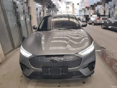 2021 Ford Mustang Mach-E Leap World RWD (Standard Range), фото 3, лот 11385860