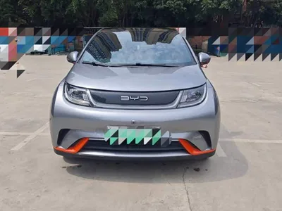 2021 BYD Dolphin Model 405km Fashion Edition, фото 2, лот 10257386