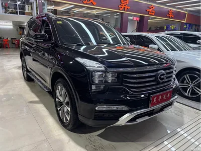 2017 GAC Trumpchi Trumpchi GS8 320T 2WD Luxury Smart Connect (7-seater), фото 3, лот 10417614