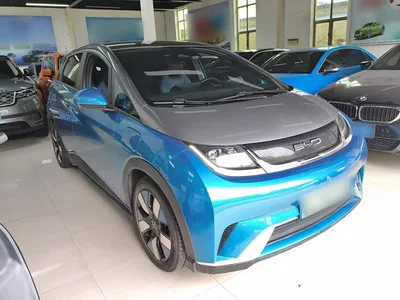 2021 BYD Dolphin 401km Knight Edition, фото 4, лот 10260324