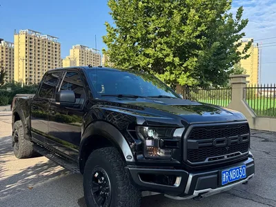 2018 Ford F-150 Raptor 3.5T Raptor Performance Enhanced Edition, фото 3, лот 10418719