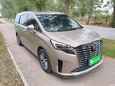 2023 Buick GL8 ES Landmaster Exclusive, фото 4, лот 11096106
