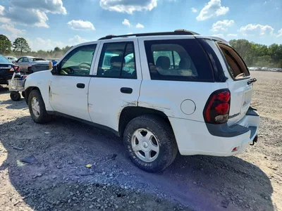 2002 CHEVROLET TRAILBLAZER, фото 2, лот 10975679