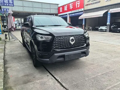 2021 Great Wall Pao 2.0T Commercial Edition Automatic Diesel 4WD Elite Long Box GW4D20M, фото 3, лот 10658252