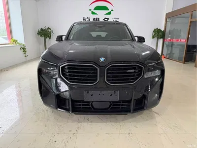 2023 BMW XM 50e, фото 1, лот 11017394