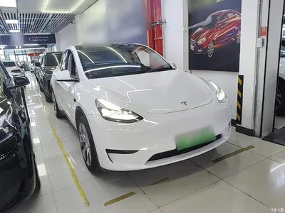 2022 Tesla Model Y Rear-Wheel Drive Version, фото 4, лот 10370367