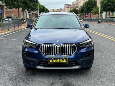 2020 BMW X1 sDrive20Li Fashion Model, фото 2, лот 10395833