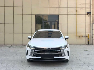 2024 BYD Destroyer 05 Glory Edition DM-i 55KM Luxury, фото 2, лот 10246703
