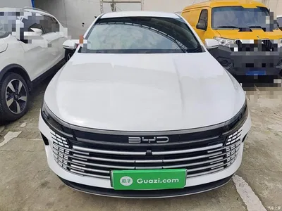 2024 BYD Destroyer 05 Glory Edition DM-i 55KM Luxury, фото 3, лот 11081458