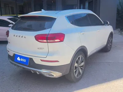 2021 Haval H6 Model 1.5T Automatic Champion Edition, фото 3, лот 11006702