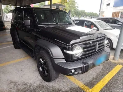 2021 Tank 300 Off-road Edition 2.0T Challenger, фото 4, лот 10345397
