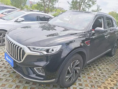 2022 Hongqi HS5 2.0T Smart Connect Premium Edition, фото 1, лот 11224879