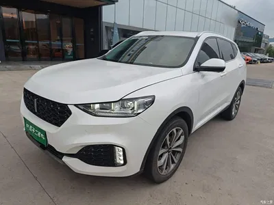 2018 WEY VV6 2.0T 2WD Flagship China V, фото 2, лот 10899555