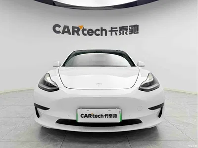 2020 Tesla Model 3 Standard Range Rear-Wheel Drive Upgrade, фото 2, лот 10354417