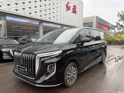 2024 Hongqi HQ9 PHEV Model 2.0T AWD Business Edition, фото 1, лот 11140424