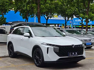 2021 Venucia Big V 260T Rising Star Edition, фото 3, лот 11153886