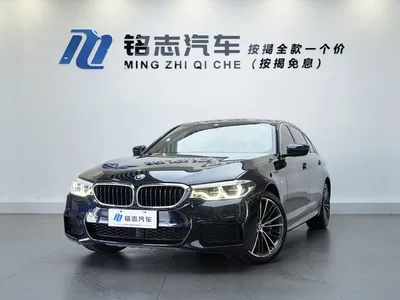 2020 BMW 5 Series 530Li Leading M Sport Package, фото 1, лот 11058618