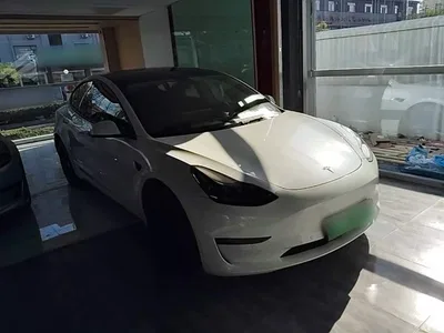 2021 Tesla Model 3 Standard Range Rear-Wheel Drive Upgrade, фото 4, лот 10369374