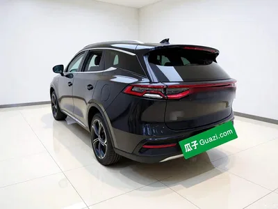 2021 BYD Tang New Energy DM 2.0T 4WD Performance Premium, фото 4, лот 10955566
